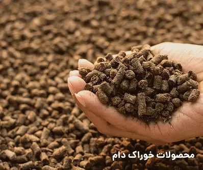 محصولات خوراک دام